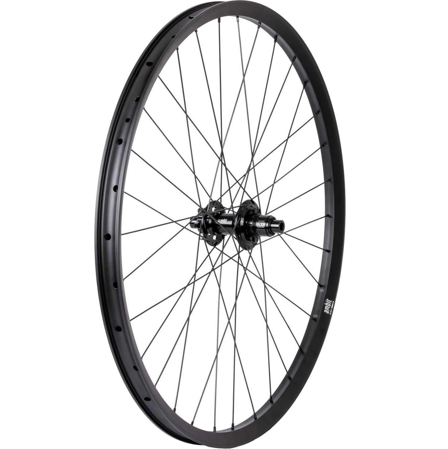 Hinterrad AMBIT REALM 29" 12x148mm Boost POE 612