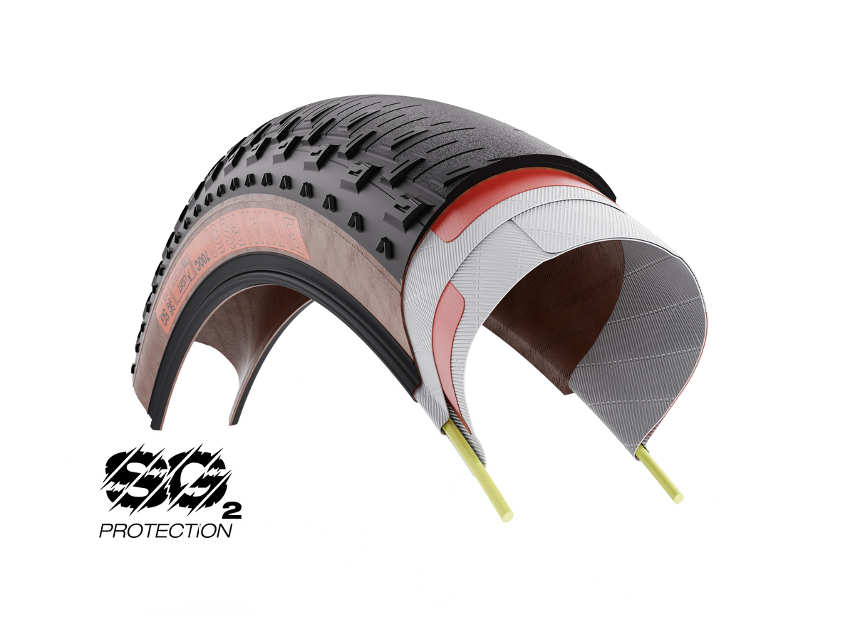 WTB-Reifen RENNEN 52 700x52c Dual DNA SG2 Tubeless Ready Beige