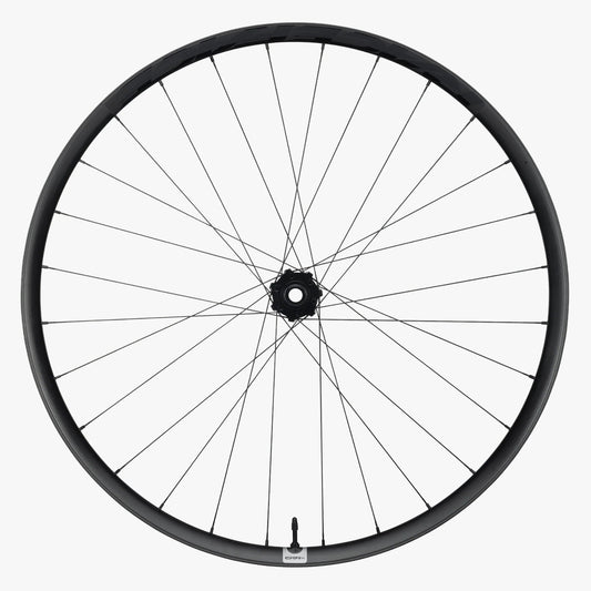 Vorderrad RACE FACE ERA SL Carbon 29" Achse 15x110 mm Boost