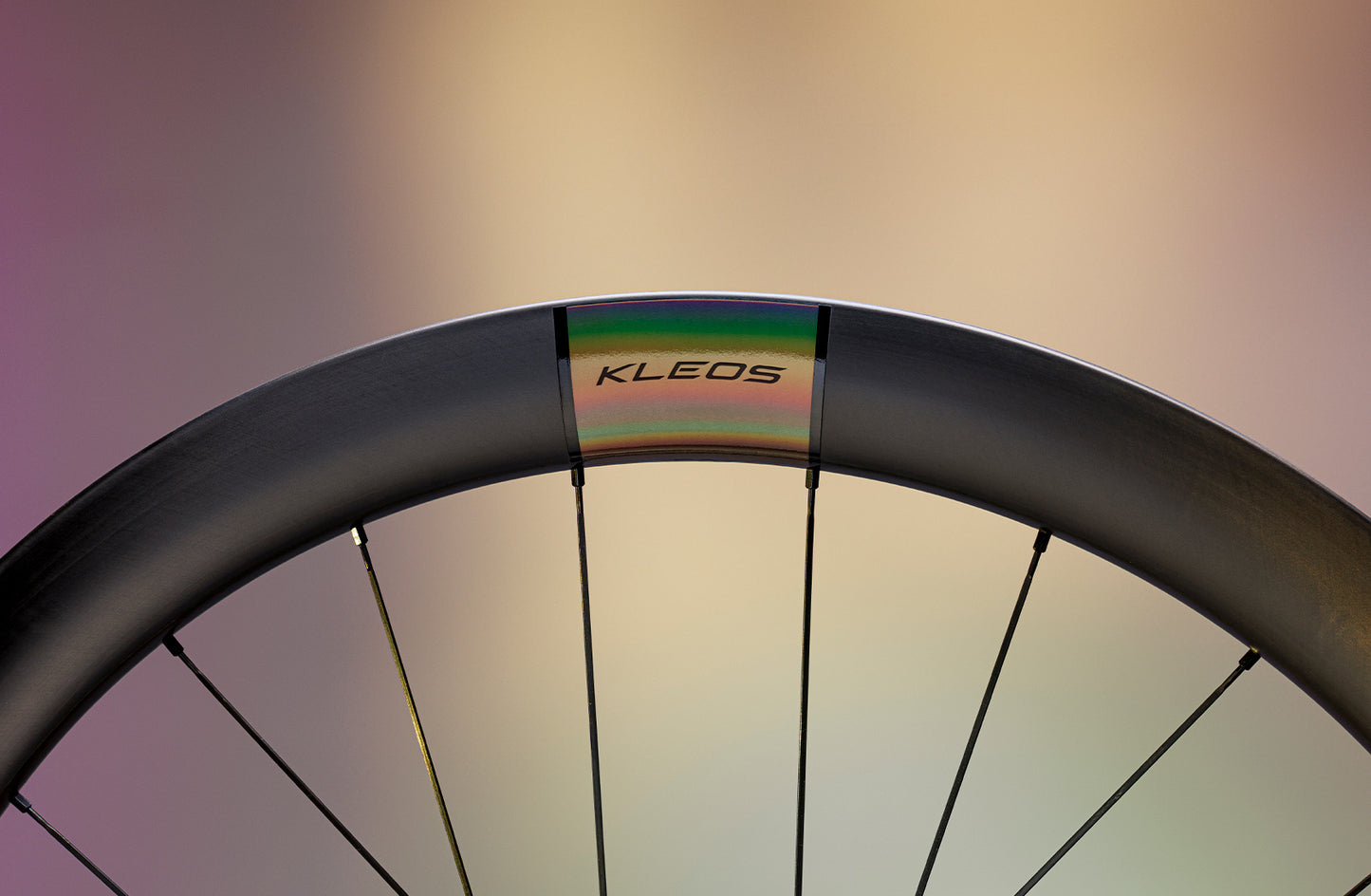 Paar MICHE KLEOS 50 Tubeless Ready-Laufräder (Center Lock)
