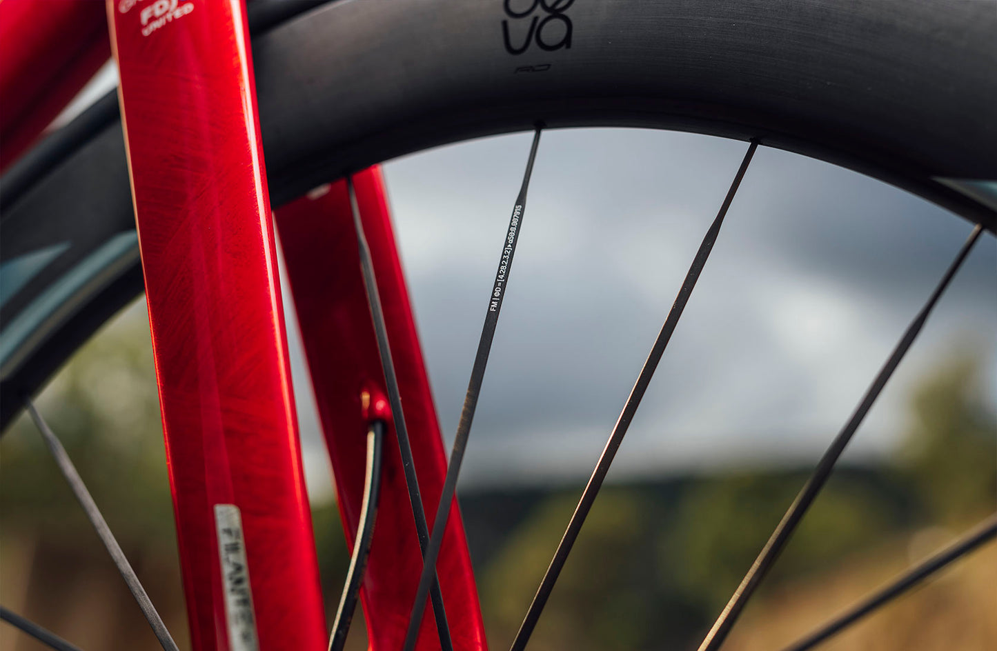 Paar MICHE DEVA RD 52 Tubeless Ready (Center Lock) Laufräder Schwarz