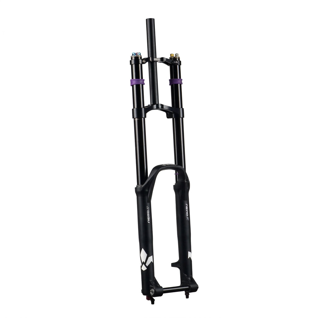 FORMULA NERO R Federgabel 29", 20x110-mm-Boost-Achse, Schwarz