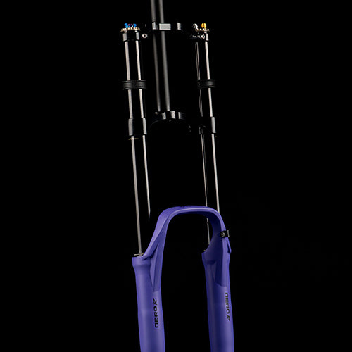 Gabel FORMULA NERO R 29" Achse 20x110mm Boost Ultraviolet