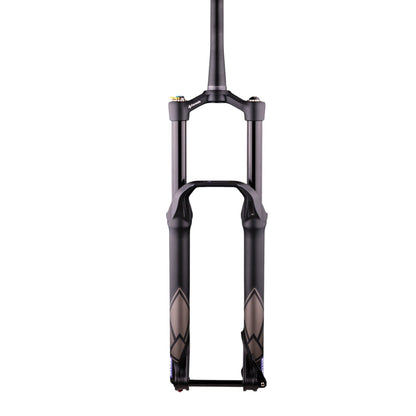 Gabel FORMULA SELVA V 29" Achse 15x110mm Boost Schwarz