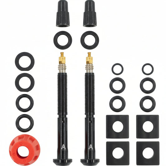Tubeless-Ventile SRAM QUARQ TyreWiz 2.0
