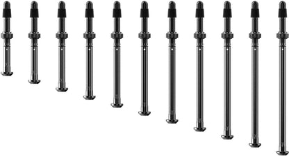 Tubeless-Ventile SRAM ZIPP QUARQ TyreWiz 2.0