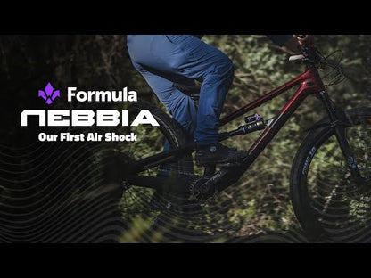 Dämpfer FORMULA NEBBIA Air Trunnion